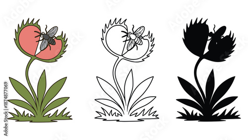 An illustration of three poppy flowers in different colored versions.