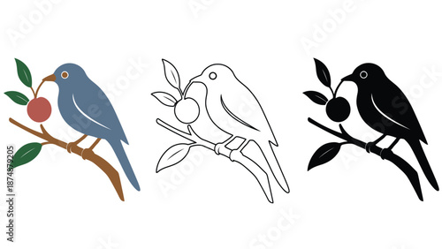 Three different illustrations of a bird sitting on a tree branch with fruit
