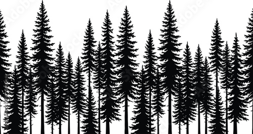Seamless monochrome pine forest silhouette vector illustration, panoramic spruce tree woods background, black and white nature landscape, coniferous wilderness graphic.