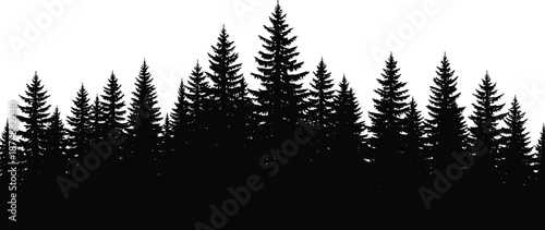 Evergreen Pine Tree Forest Silhouette Panorama for Nature Landscape Decor, Coniferous Woodland Timber Background, CAD Drawing Flat Vector Illustration Set.