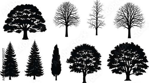 Diverse Tree Silhouette Set Featuring Oak Pine and Bare Winter Branches for Landscape Design, Nature CAD Drawing Flat Vector Illustration.