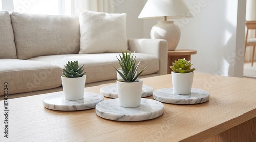 Stylish Arrangement of Succulent Plants in White Pots on Marble Coasters in Modern Living Room