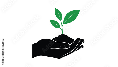 a hand holding a small green plant with leaves