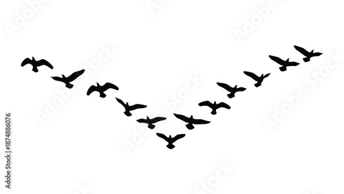 a flock of birds flying in a v formation