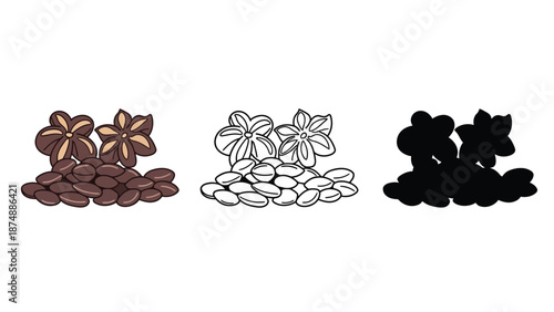 An illustration of cacao beans and flowers in different color styles
