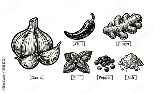 Vintage Engraving Set of Six Essential Kitchen Herbs and Spices