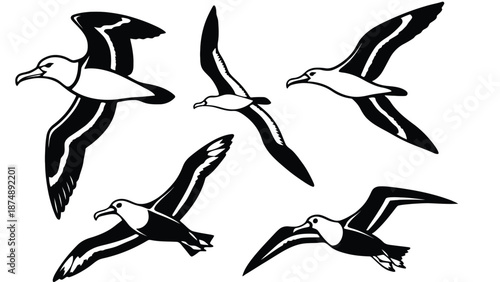 A group of seagulls flying in formation against a white background