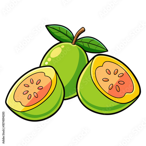 Fresh Guava fruit set. Whole, half and cut guava. Tropical exotic fruit icons