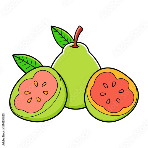 Fresh Guava fruit set. Whole, half and cut guava. Tropical exotic fruit icons