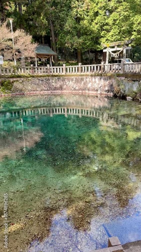 日本の映像　山口県美祢市の別府弁天池