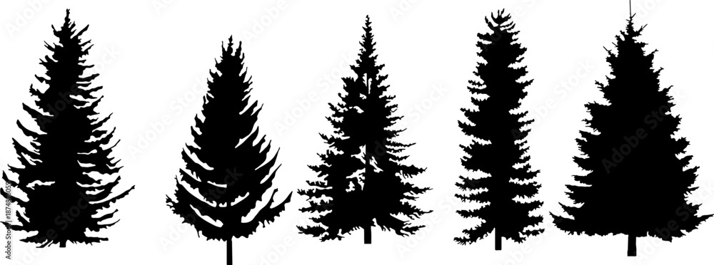 Fototapeta premium Collection of five realistic pine tree silhouettes. Black evergreen conifer trees (Fir, Spruce) perfect for forest landscape design, Christmas cards, camping themes, and nature background construction