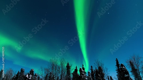 Wallpaper Mural Timelapse of Aurora Borealis Northern Lights over winter landscape in Fairbanks, Alaska Torontodigital.ca