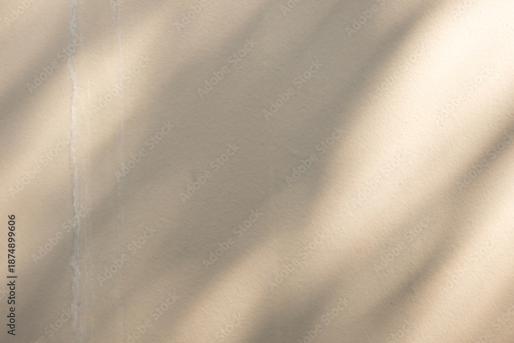 Obraz premium Abstract natural tree branch leaves shadow on beige wall background