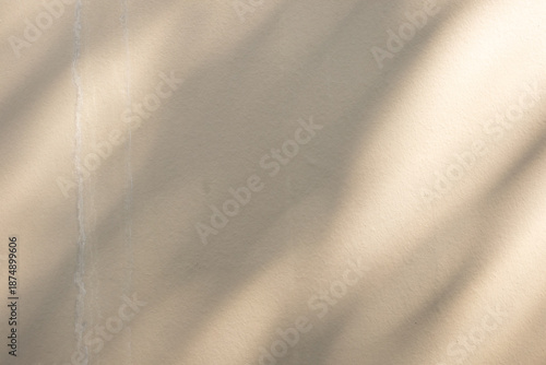 Abstract natural tree branch leaves shadow on beige wall background