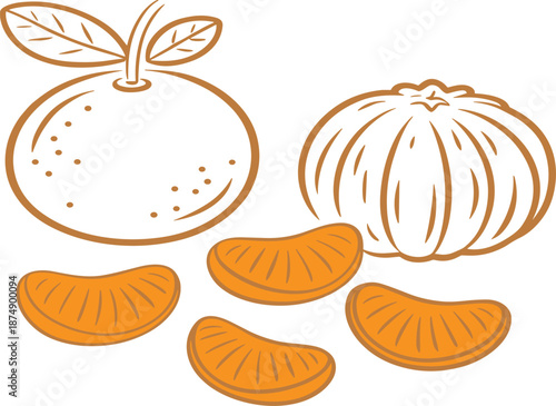 Hand drawn tangerine citrus fruit with peeled segments and leaves, simple orange line art doodle vector illustration isolated on white background.