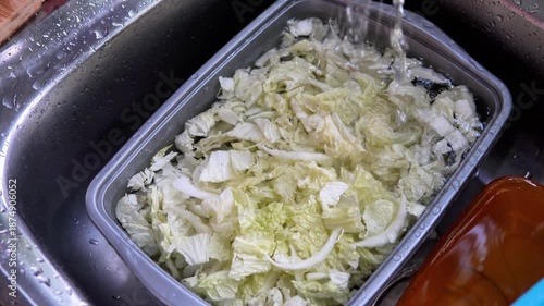 Washing Fresh Napa Cabbage for Cooking Preparation