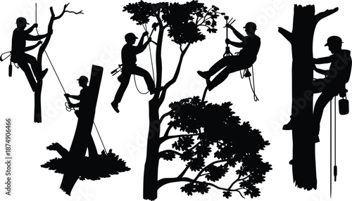 Professional arborist tree climber silhouettes working with ropes and safety gear, forestry maintenance service vector illustration