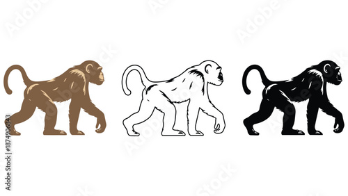Three monkey silhouettes in different colors on a white background