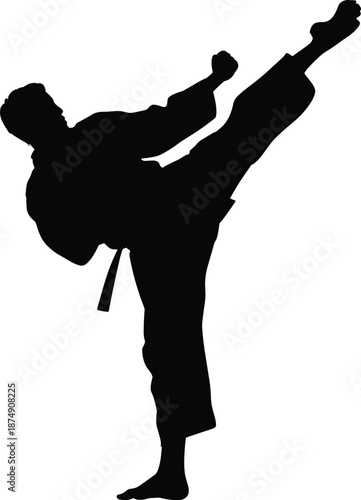 Martial arts silhouette fighter executing high kick, karate taekwondo combat pose, self defense training, power balance motion