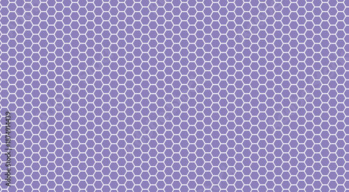 Panorama of White background or abstract seamless pattern hexagon for wallpaper shape honeycomb concept. Fine honeycomb grid black and white.
