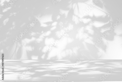 Wall interior background, studio and backdrops show products.with shadow from window color white and grey. background for text insertion and presentation product  © Photo Sesaon