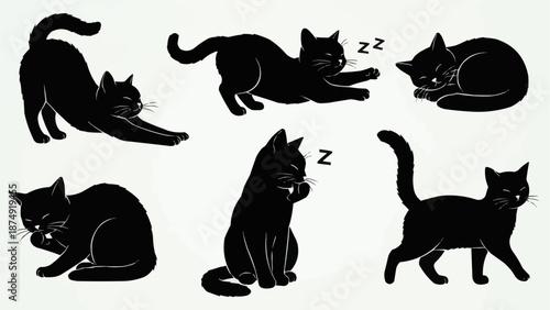 Collection of black cats in various poses and activities.