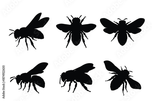 Set of Bee Silhouettes, Honeybee and Bumblebee Vector illustrations Isolated on White