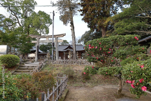 A Japanese shrine: a scene of the precincts of Matsue-jinja Shrine in Matsue City in Shimane Prefecture