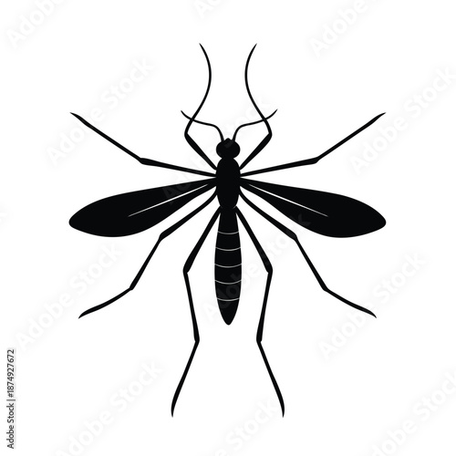Crane fly insect wildlife vector silhouette on white background
