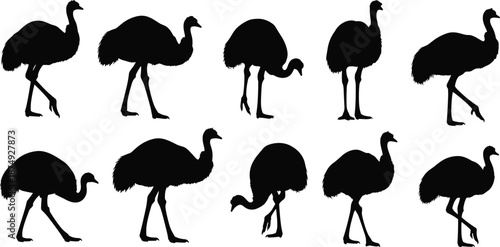 Black ostrich silhouette collection featuring various large flightless bird poses isolated on a white background for wildlife nature graphics and zoo design themes.