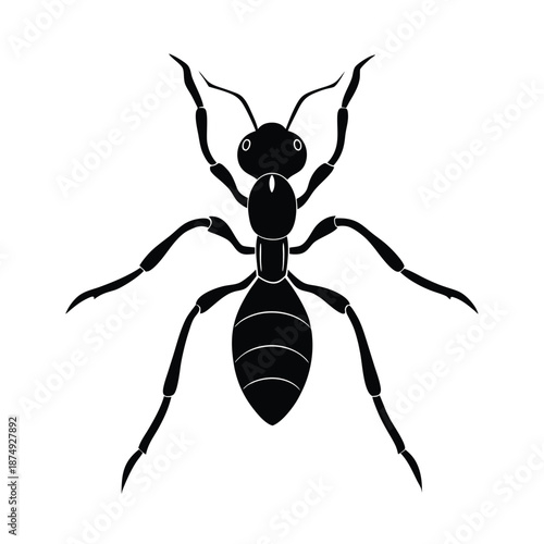Fire ant insect vector silhouette on white background