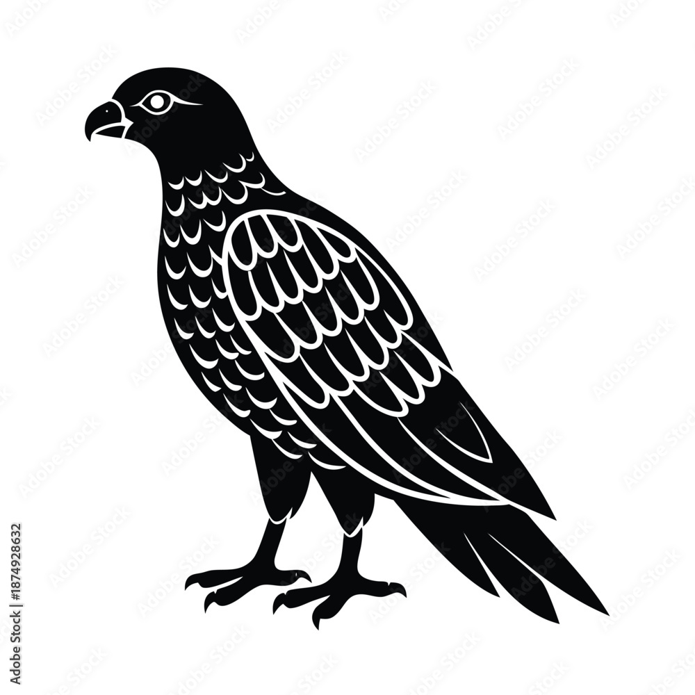 Fototapeta premium Honey buzzard bird of prey vector silhouette on white background