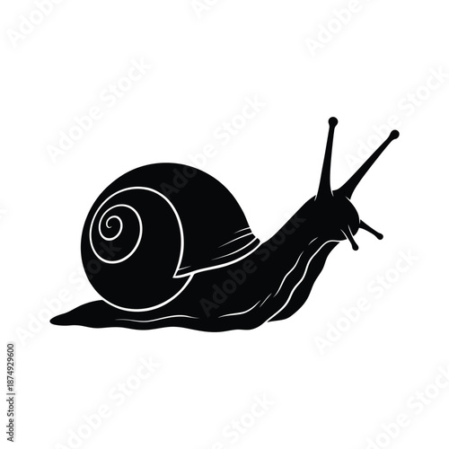 a black snail with a spiral shell and antennae on its head