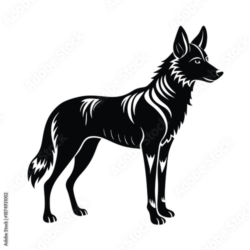 black and white dog on White Background