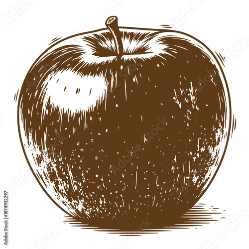 Drawing Vintage Brown apple illustration with stem on white background