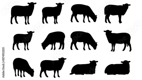 Group of 2 Objects (9).eps