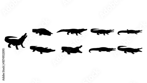 Group of 2 Objects (11).eps