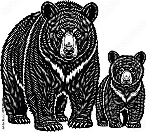 Bear and cub illustration showing wildlife animal family mother baby forest nature engraved style vector art design