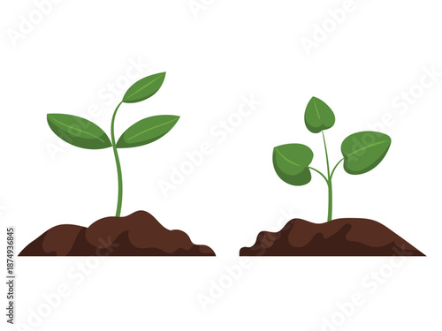Young Plant seedlings, planting soil, environmental
