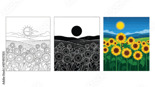 Three styles of sunflower field illustration line art drawing, black and silhouette, and vibrant color vector graphic under a bright sun