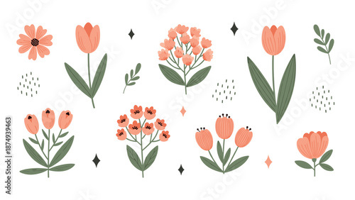 A lovely collection of hand-drawn pink and orange tulips and other spring flowers, with simple leaves and decorative abstract elements.