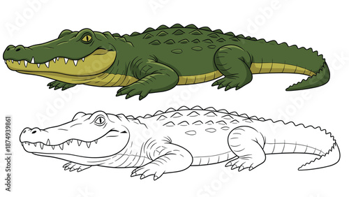 A friendly cartoon alligator illustration presented in both full color and as a black and white outline for a children's coloring book.