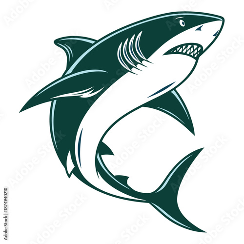 Ac beautiful Dolphin 