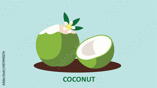 A flat vector illustration of one whole green coconut with a flower and a leaf, and one half coconut on a light blue background.