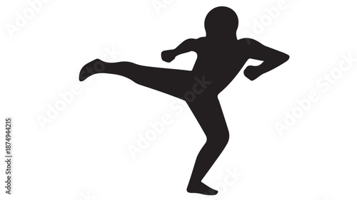 Martial Artist Silhouette in Dynamic Pose with High Contrast Lighting on White Background for Fitness Promotion
