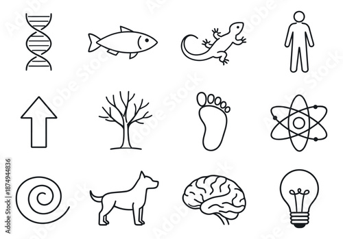 Outline universal concepts set featuring dna, human, animals, and scientific elements for education and design