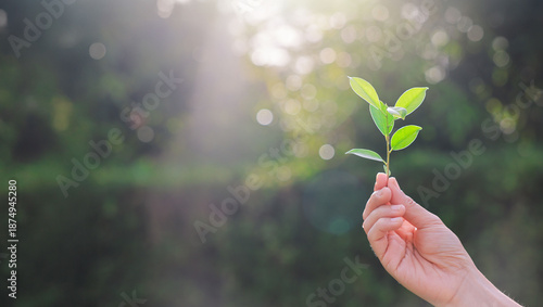 Foto CO2 or carbon concept with icons on green background