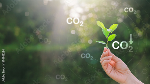 CO2 or carbon concept with icons on green background. co2 emission using clean energy and limit global warming. renewable energy, planting tree. world earth day.