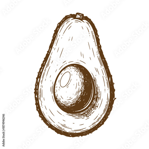 Drawing Vintage Drawing of an avocado cut in half with pit  healthy food illustration