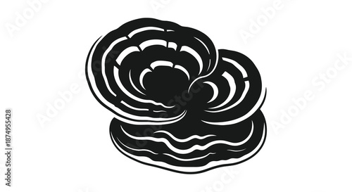 a black and white illustration of a flower or shell shape silhouette high quality professional detailed